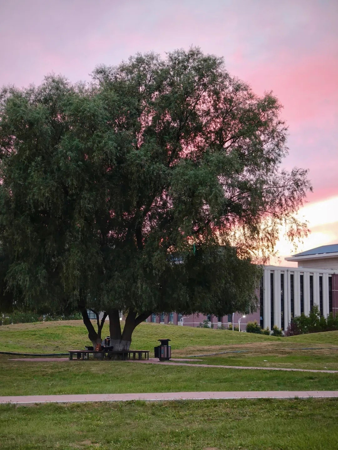 2025年“朋辈协力·心理成长”系列活动——公司研究生成功开展两院联动“光影寻静，破‘卷’而出”随手拍大赛